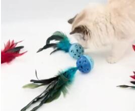 Teñido barato pluma pollo pluma cola palo mascota juguete interactivo interior Teaser varita piel con plumas juguete - Product Image 5