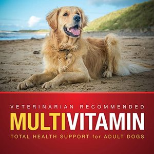 Suplemento multivitamínico de etiqueta privada OEM para perros, suplemento para el cuidado de la salud de mascotas, masticables suaves con probióticos, vitamina para perros - Product Image 6