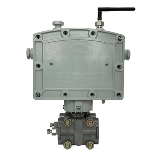 Calculateur de débit différentiel multiparamètres Esito DL-110T, sortie 4-20mADC/HART, indice de protection IP65, garantie 1 an - Product Image 3