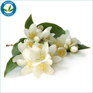 Jasmin Parfums pour Shampoings - Product Image 2