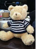 Boneka Beruang Teddy Kapas PP Ukuran Besar Berkualitas Tinggi |   Boneka Super Lembut Dapat Disesuaikan OEM/ODM |   Langsung dari Pabrik, MOQ Rendah untuk Ulang Tahun