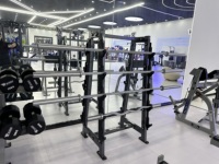 Support de Rangement pour Barres de Musculation en Acier Q235 ROSEN Fitness Type Avancé, Sûr et Durable, 72x79x152cm, 75.5kg, Garantie 1 An