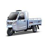 Quad utilitaire agricole, UTV, 2 places, électrique, 3 roues, 1500W, boîte de chargement hydraulique, tricycle