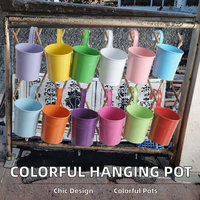 Pot de fleurs suspendu en fer forgé au design moderne, écologique, galvanisé, pour plantes vertes succulentes, avec crochet détachable