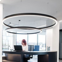 Design rond moderne blanc/argent/noir couche de poudre AC110V/220V courbe personnalisée lumière circulaire de bureau personnalisée
