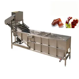 En popüler meyve rulo üretim hattı meyve rulo makinesi