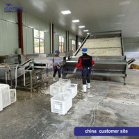 Industriële continue knoflookdroogmachine, automatische verse knoflookplakjes- en -vlokken-dehydrator, droog- en verwerkingsinstallatie