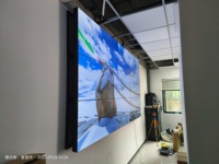 Pantalla Táctil Infrarroja de 55 Pulgadas y 1.7mm, Pantalla LCD para Publicidad, Video Wall con Gráficos Animados para Uso en Ascensores Interiores