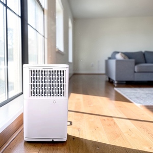 Deshumidificador inteligente DHC con funciones de limpieza de aire para el hogar, retroiluminación LCD ajustable - Product Image 1