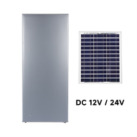 Congélateur vertical commercial 198L DC 24V à panneaux solaires et batterie gel, 11/7 plateaux, haute qualité, vente chaude