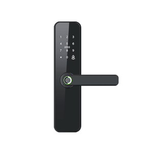 Sang trọng thông minh xử lý khóa cửa cho cửa trước TT khóa Wifi vân tay kỹ thuật số bàn phím điều khiển từ xa Keyless nhập - Product Image 1