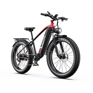 Vélo de ville F26 Lite avec cadre en alliage d'aluminium, freins à disque hydrauliques avant et arrière sans balais, moteur 500W 65NM à propulsion arrière, version UE - Product Image 2