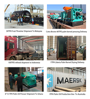Presse à huile à double vis à haut rendement et faible teneur en huile résiduelle pour l'extraction d'huile de palme et double vis | Presse à huile rouge