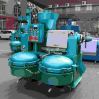 Machine de traitement d'huile de graines de tournesol populaire Tanzanie YZLXQ95, filtre à huile à pression d'air en excellent état pour sésame et noix de coco