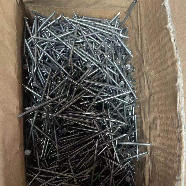 Polished Iron Nails with Uniform Coating for Consistent Performance & Appearance