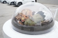 Chariot de dinosaure animatronique réaliste personnalisé OEM Zigong, pour utilisation intérieure et extérieure dans les parcs d'attractions, les expositions et les locations.