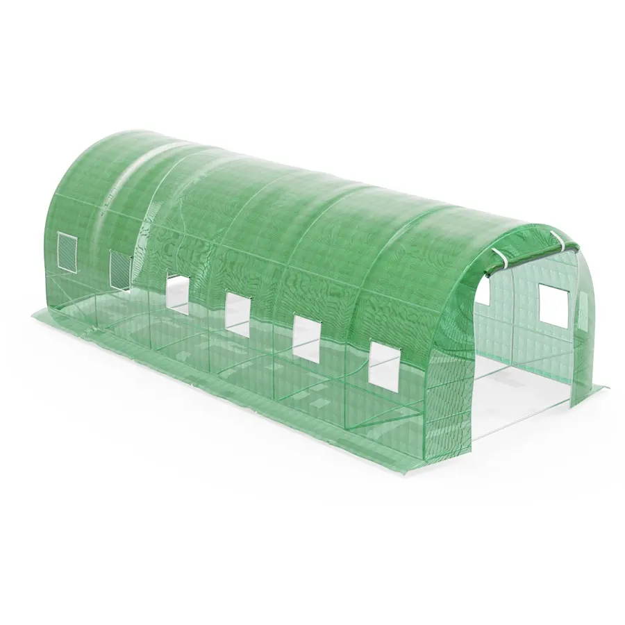 Agricultural plastic tunnel greenhouse winter season plant protection mini greenhouse for vegetable plant