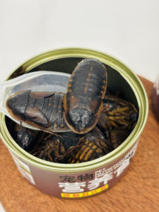 Dubia Enlatada 100% Natural y Fresca en Envase Apto para Pollos, Aves, Peces y Reptiles - Product Image 4