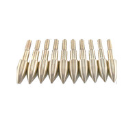 Pointes de flèches en or 75/100 grains, pointes de flèches de chasse pour arbalètes et arcs composés, pour tiges de flèches de 6,2 mm, pour la chasse et le bricolage