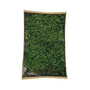 Musgo Preservado para Pared, Musgo Artificial, Decoración de Pared con Musgo de Reno, Jardín en Miniatura y Manualidades con Flores Preservadas, <span class=keywords><strong>Plantas</strong></span> Artificiales - Product Image 2