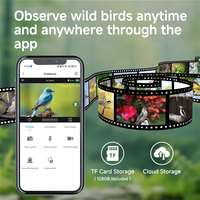 Mangeoire à oiseaux automatique intelligente en plastique avec caméra IA, batterie rechargeable, vidéo HD 2.5K, reconnaissance des espèces d'oiseaux en temps réel, étanche pour l'extérieur