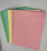 Papelería de Oficina de Buena Calidad, 22 x 31 cm, 250 Piezas, Carpetas de Papel de Colores Variados