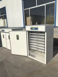 <span class=keywords><strong>1232</strong></span> Tự Động Gia Cầm Trứng Lồng Ấp Nở Trứng Cho Gà Vịt Ngỗng Chim Cút 220V HJ-I9 - Product Image 3