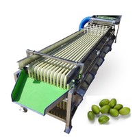 Heetverkopende olijven sorteermachine, appel sorteermachine, citrus sorteermachine