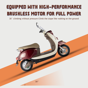 Trottinette électrique PACIFIC 500W 60V 24AH avec batterie au lithium, pneus 3.0-10, moteur sans balais, pour adultes, fabrication OEM - Product Image 4