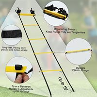 Échelle d'agilité réglable, vente en gros directe usine, durable pour l'entraînement de vitesse, 6m (20ft)