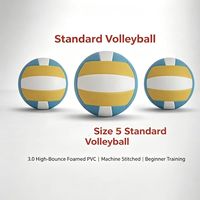 Ballon de volley-ball taille 5, cousu à la machine, PVC expansé haute élasticité 3.0, pour entraînement en salle, matchs et jeux récréatifs