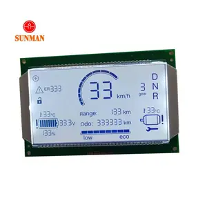 Monochroom Lcd Display 7 Segment 23 Digit Alfanumerieke Lcd Met Waterdichte Connector 18 Pin