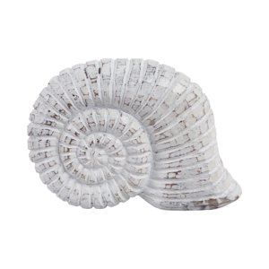 Oggetto decorativo a forma di lumaca in legno, statuetta costiera, scultura per casa, bagno, ufficio, soggiorno - Product Image 4
