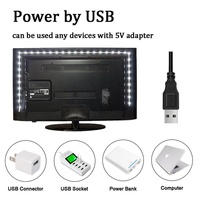 Bande LED d'ambiance pour téléviseur LCD à commande intelligente, alimentée par USB, avec télécommande RF