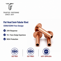 Rivets semi-tubulaires à tête plate personnalisés TianFang pour la production de panneaux de distributeurs automatiques, en acier au carbone zingué, tailles sur mesure