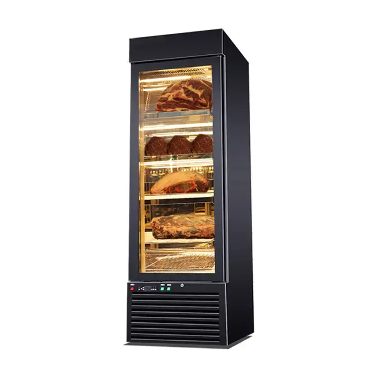 Grace Refrigerator Meat Curing Cheese Salami Fish Display Cooler Dry-aging Beef Meat Steak Fridge Dry Age Cabinet
