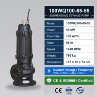 Pompe à eaux usées submersible 55KW 100CBM 65M de hauteur de refoulement 4 pouces en fonte résistante à la corrosion pour ferme CE CQC ISO9001