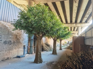 ต้นไทรพลาสติกหลายกิ่ง ขนาด 3 เมตร เป็นมิตรกับสิ่งแวดล้อม ทนทานต่อรังสียูวี เหมาะสำหรับตกแต่งวันเกิด บ้าน และสำนักงาน - Product Image 1