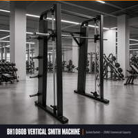 ZOFAN Machine Smith Verticale Robuste avec Contrepoids, Rack de Squat, Équipement de Musculation pour Salle de Sport Commerciale, Faible MOQ, OEM, ODM