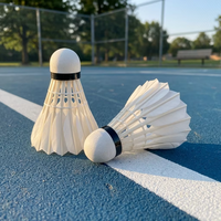 Volant de badminton professionnel léger et durable en plumes de canard hybrides, tête en liège sandwich, haute élasticité, pour entraînement sportif et tournoi
