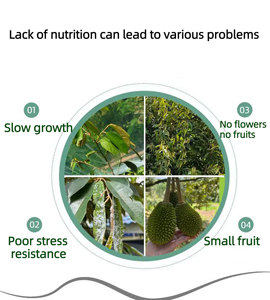 Fertilizante líquido orgánico <span class=keywords><strong>de</strong></span> aminoácidos en forma <span class=keywords><strong>de</strong></span> polvo que promueve la floración <span class=keywords><strong>de</strong></span> Durian y mejora el tamaño del color <span class=keywords><strong>de</strong></span> la fruta Fertilizante <span class=keywords><strong>foliar</strong></span> - Product Image 6