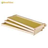 Imkerei-Ausrüstung Kunststoff-Grundplatten Imkereibedarf Kunststoff-Wabengrundplatten