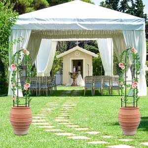 Vente en gros d'usine, cages à plantes en métal 100% pour fleurs, fruits, légumes, concombre, tomate, rose en pot, clématite, pois, haricot - Product Image 6