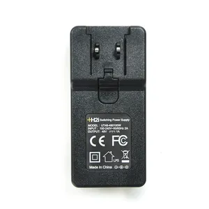 48V DC 1A output universal input voltage interchangeable plugs Switching Power Adapter