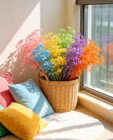 Bunga Gypsophila Kering Alami Berkualitas Tinggi 100-120g untuk Dekorasi Rumah dan Pernikahan