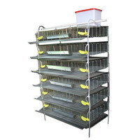 Cages à cailles en fil métallique, cage à cailles à étages avec système d'abreuvement automatique à vendre
