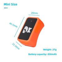Nouveau design de traceur GPS pour animaux de compagnie avec E-SIM, collier pour chien et chat 4G avec positionnement à distance en temps réel, localisateur de chien
