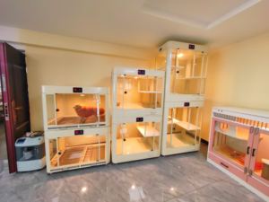 Capsule spatiale intégrée multifonctionnelle en acier inoxydable pour animaux de compagnie, capsule intelligente, adaptée aux chats, aux chiens et aux petits animaux - Product Image 6