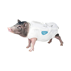 Gilet de télémétrie robuste de type veste pour le montage sécurisé de modules d'enregistrement dans les grands animaux - Product Image 6