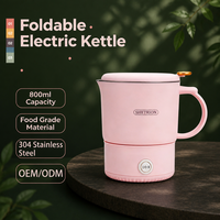 Bouilloire électrique pliable en acier inoxydable 304, grande capacité, haute puissance, pour le voyage et l'extérieur